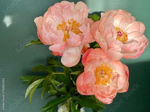 Lush peonies in a vase on a green background.