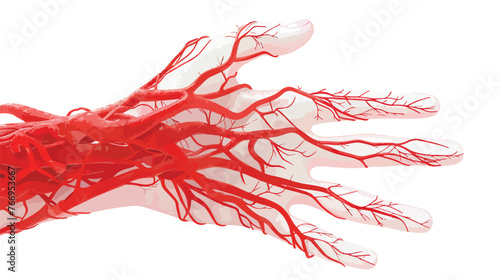 Rendered medically accurate illustration of the blood