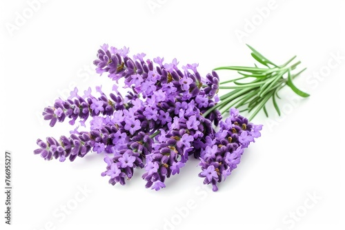 Lavender flowers isolated on white background with clipping path. Full Depth of field. Focus stacking. PNG. Generative AI 