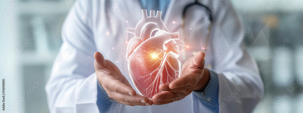 Fototapeta premium A doctor holding a human heart model