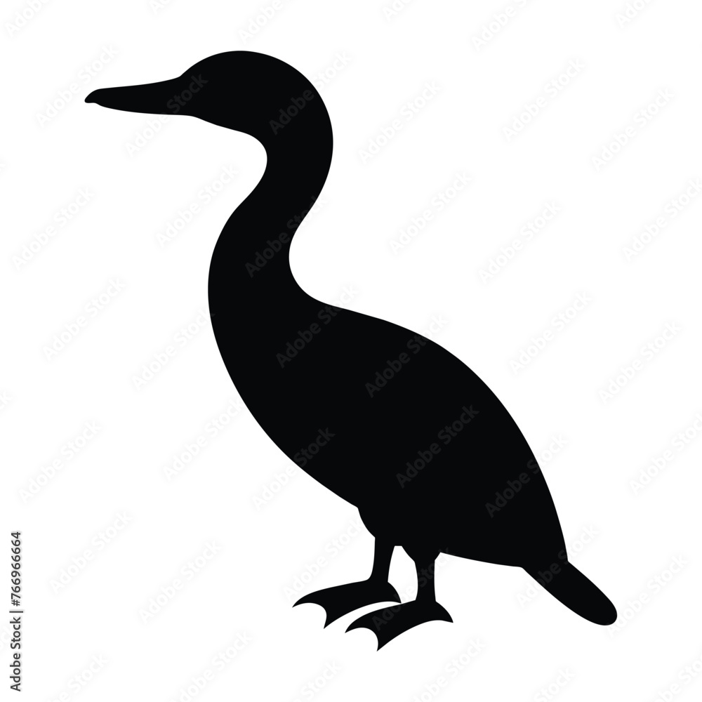 silhouette of a cormorant on white