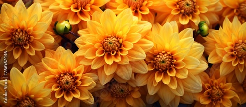 A cluster of vibrant yellow flowers  with delicate petals  is arranged neatly on a table. The colorful display showcases the beauty of natures blooming plants