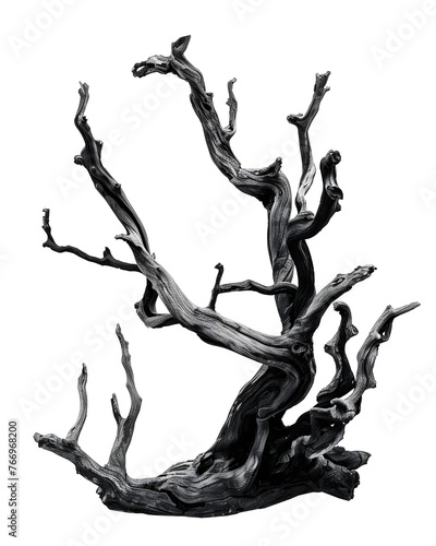 black and white tree branch decoration, isolated