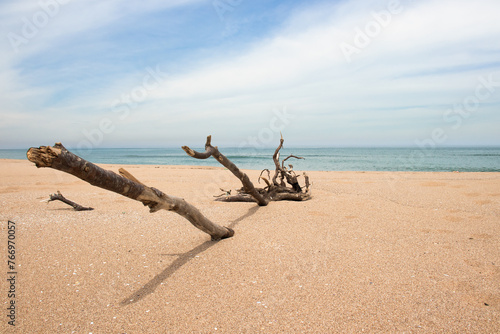 a peaceful area on the beach