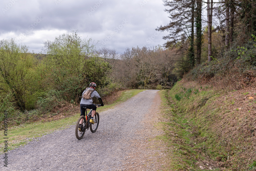 Mountain biking through the forest paths