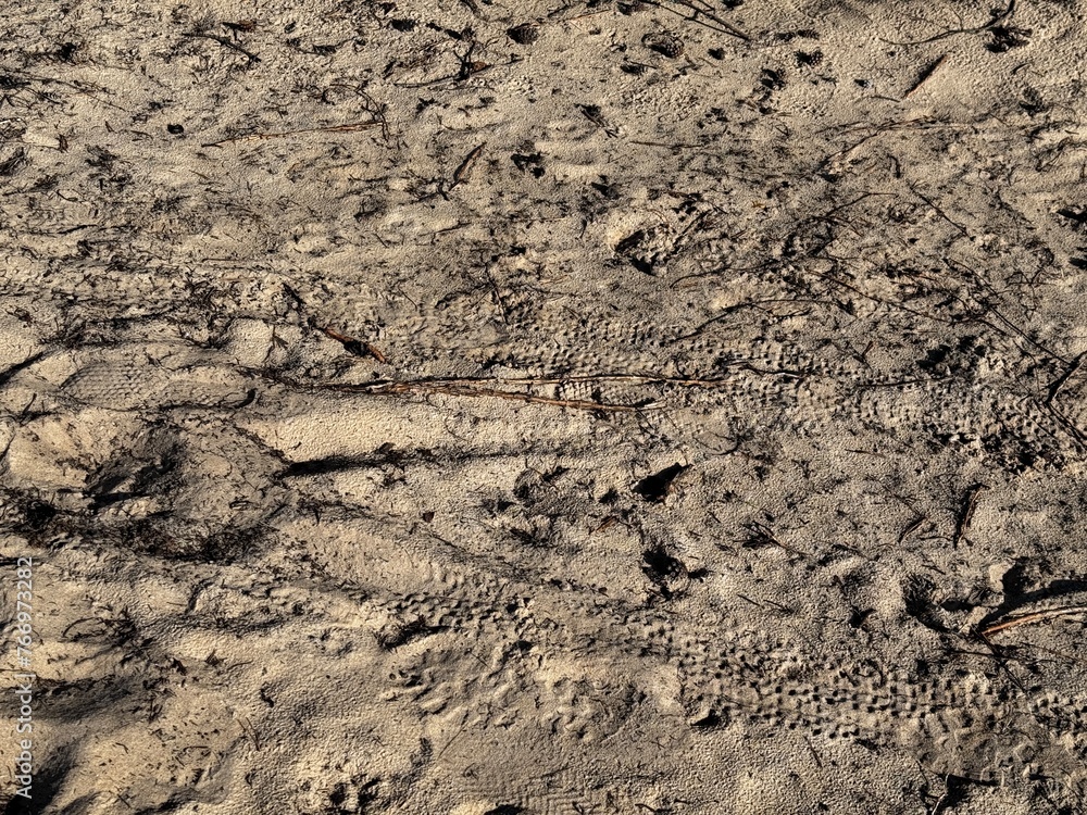 soil of soil soil of soil