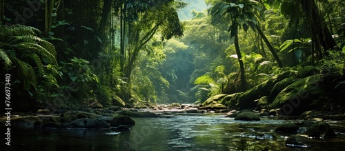 Deep tropical jungles of Southeast Asia