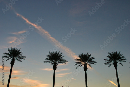 Canvas Print Downtown Las Vegas construction cranes