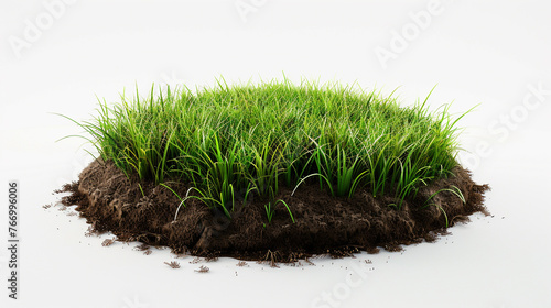 3D depiction of round soil ground with earth and lush green grass on white.