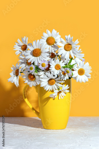Bouquet of white daisies chamomile in a vase on a yellow background