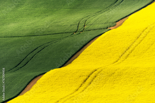 Yellow and Green wavy spring fields nice symmetric composition photo