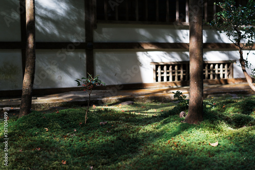 Fototapeta Naklejka Na Ścianę i Meble -  法然院 - Honen-in Temple in Kyoto, Japan