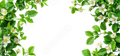 Spring blossom frame with white flowers and green leaves, cut out