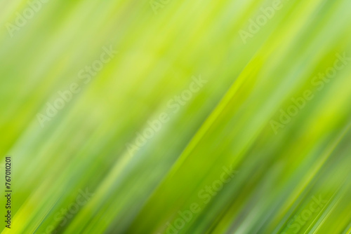 motion blurred background
