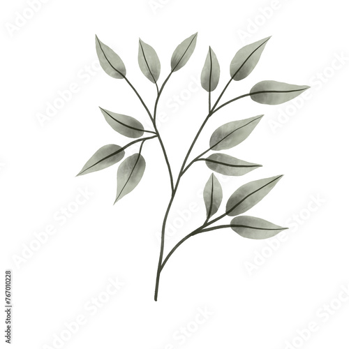 dark green leaves