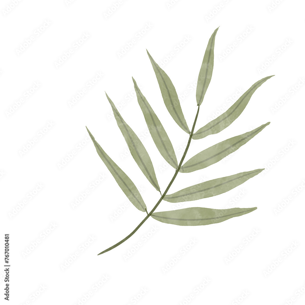 long leaves watercolor style long leaves watercolor style