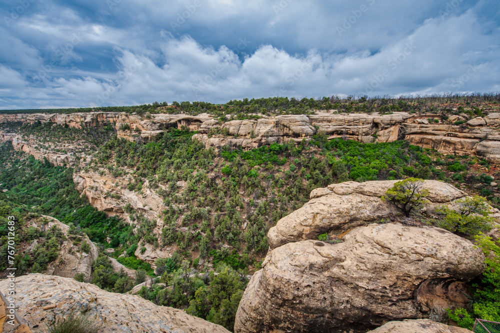 Expansive view of a deep canyon dotted with greenery against a cloud-filled sky