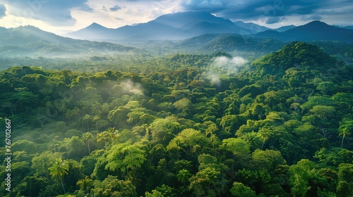 Aerial View of Rainforest Canopy - Natural Ecosystem and Biodiversity - Drone Shot with Dense Trees and Mountain Background 
