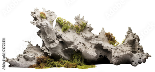 Fototapeta Naklejka Na Ścianę i Meble -  Heavy reef rock cut out