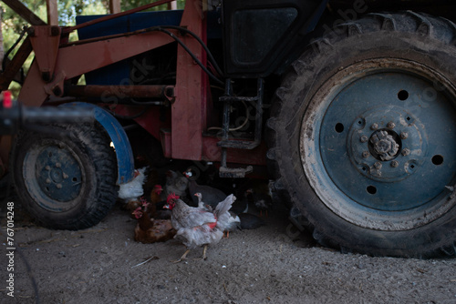 A group of chickens sitting under a large tractor © Pavlo