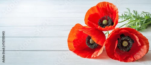Panel kuchenny z motywem Czerwone maki, wiosenne kwiaty. Tło białe deski. Puste miejsce