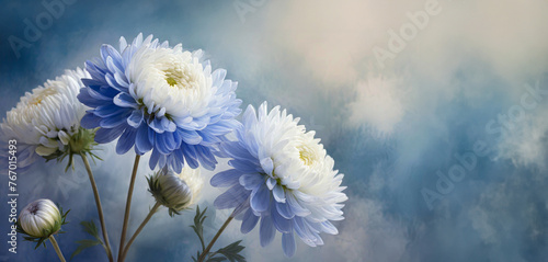 Niebieskie kwiaty astry. Pastelowe tło kwiatowe, puste miejsce