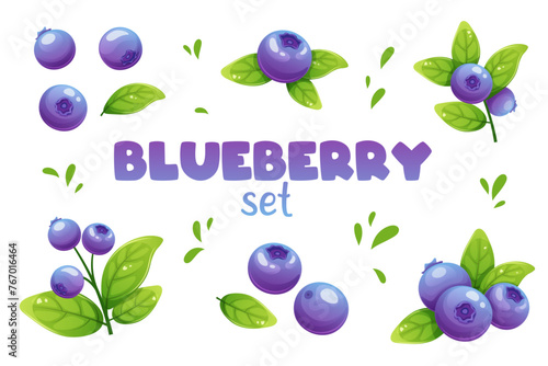 Blueberries with leaves in various angles on white background. Set of botanical vector icons of berries, food, sweets