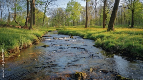 Stream Flowing Through Lush Green Field