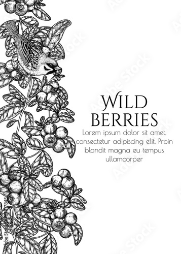 Vector frame of lingonberry bushes and sparrow in engraving style