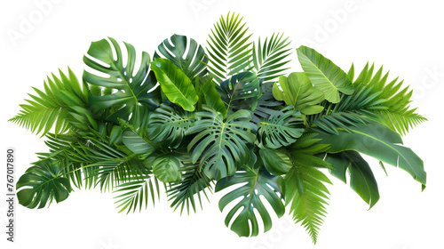 Tropical foliage arrangement isolated on white. © Noreen