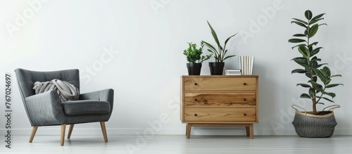 Contemporary Scandinavian home decor featuring a stylish wooden dresser, black potted plants, a gray sofa, books, and personal items against white walls. Includes a template with copy space.