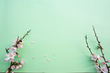 spring cherry and almond tree flowers