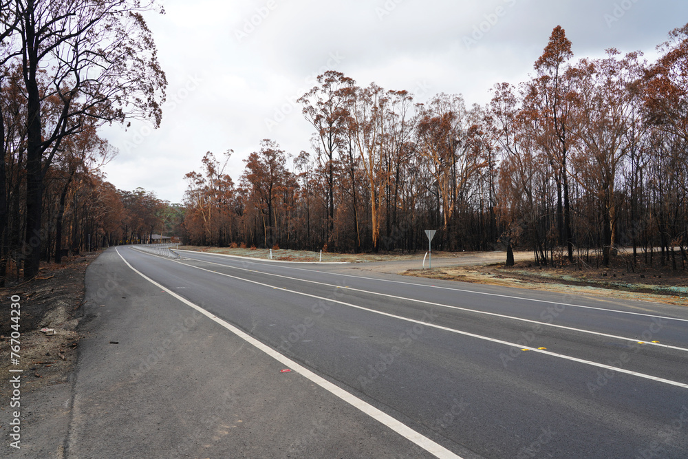 Fototapeta premium After Bushfire, 2019-2020 Australian Black Summer Bushfire 