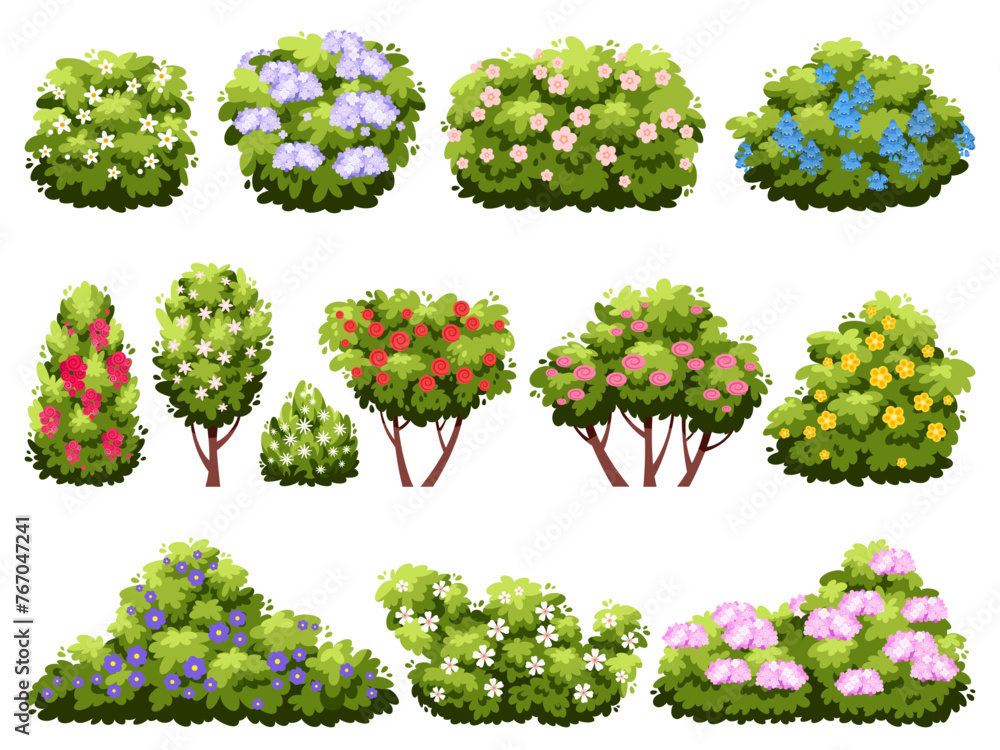 Bushes with flowers. Flowering garden plants, different types, green decorative blooming shrubs, beautiful landscape elements. Outdoor spring summer hedge plant. Park decorate vector set
