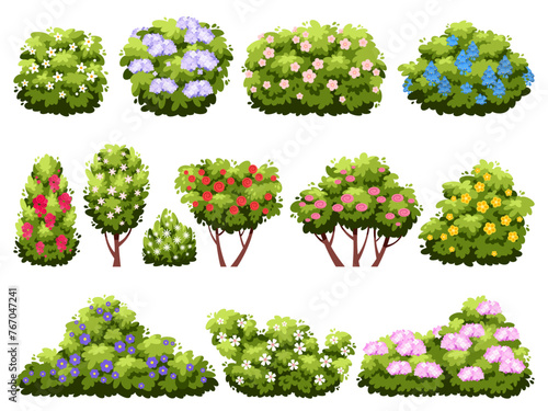 Bushes with flowers. Flowering garden plants, different types, green decorative blooming shrubs, beautiful landscape elements. Outdoor spring summer hedge plant. Park decorate vector set