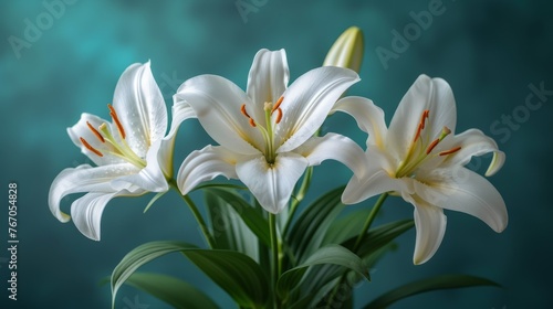  White lilies in blue vase on green tablecloth