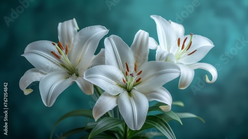  A vase containing white lilies set against a backdrop of blue and teal with a red striped center flower
