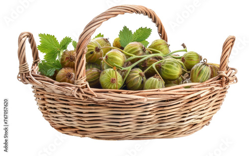 Basket of Gooseberries isolated on transparent Background