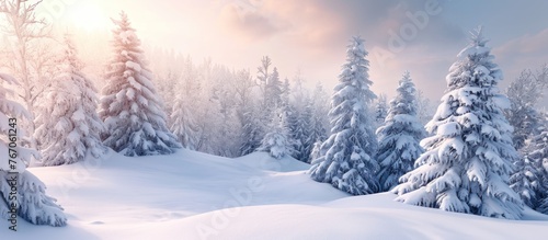natural scenery in winter