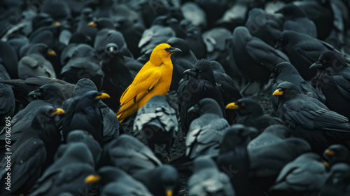 A yellow crow alone among a crowd of black crows, concept of standing out from the crowd as a leader