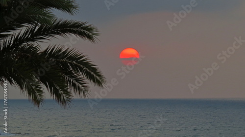 sunset beach palm tree backlight warm sun reddish sea coast summer vacations rest