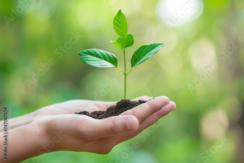 Hand holding a green plant as a concept for environment protection