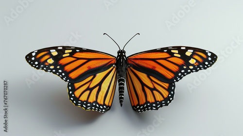 A beautiful monarch butterfly with its wings spread open, isolated on a white background.