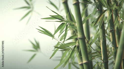 Tranquil Bamboo angled view dirty industrial line art Ai generative