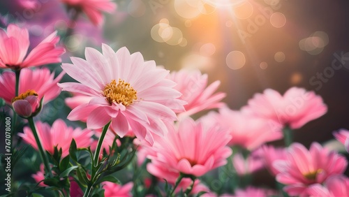 Beautiful pink pastel floral background with romantic light bokeh