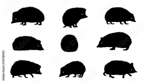hedgehog silhouettes on the white background