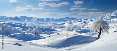 Winter landscape panorama with snow covered trees and mountains in the background