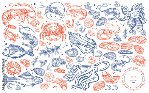Big isolated vector set of seafood. Shrimps, langoustines, prawns, salmon, trout, oysters, mussels, squid, crab, lemon, asparagus, dorado. Hand-drawn seafood delicacy, restaurant and marine cafe menu.