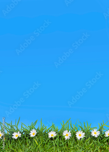 flower, grass and sky background