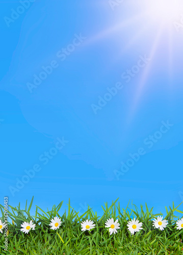 landscape with grass and flowers and sky background